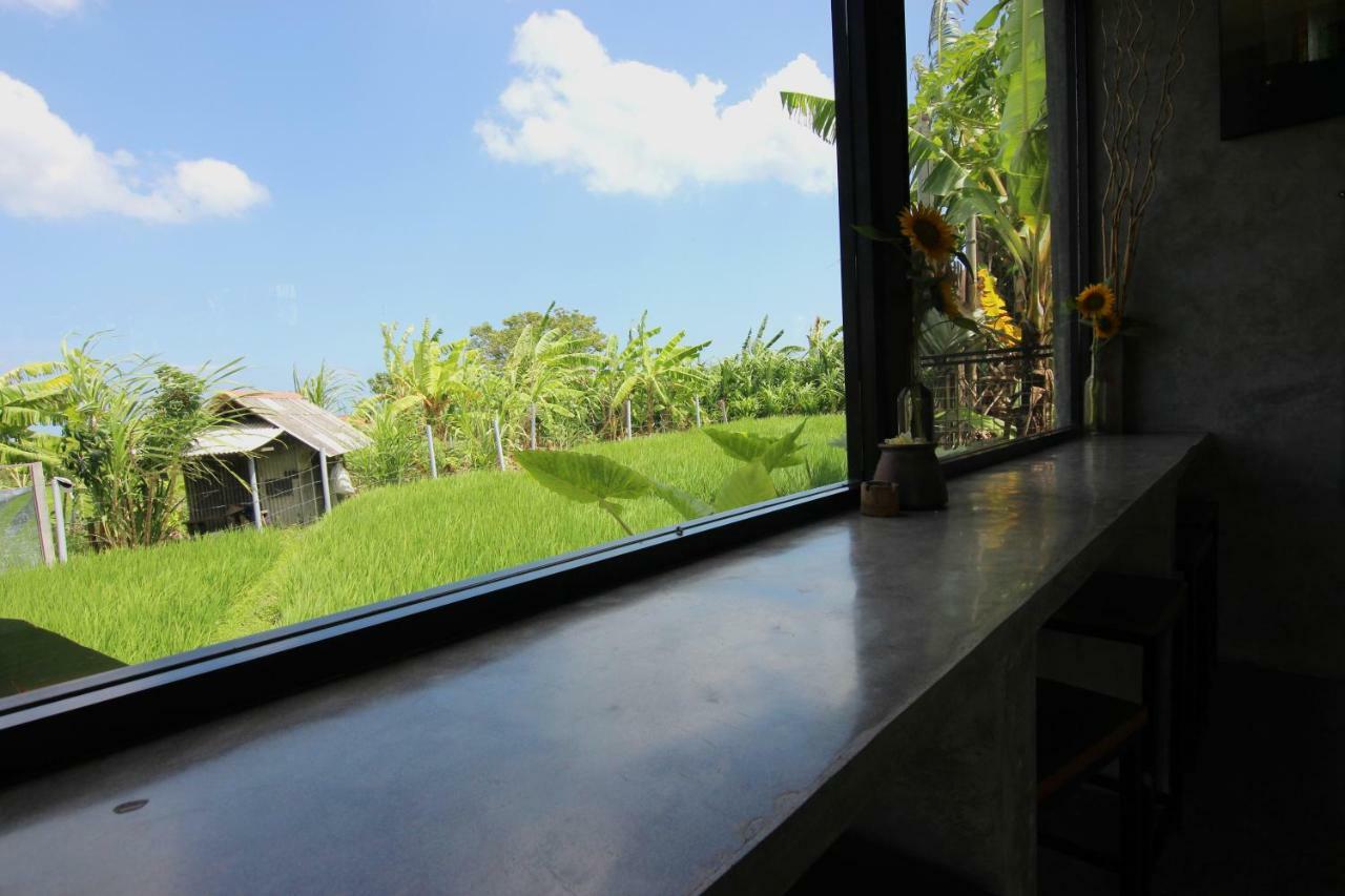 De Vir House Lejlighed Canggu Eksteriør billede