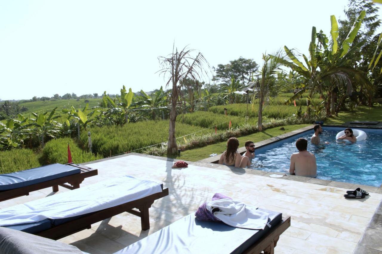De Vir House Lejlighed Canggu Eksteriør billede